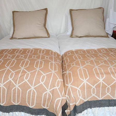 Cheetah View Lodge Otjiwarongo Ngoại thất bức ảnh