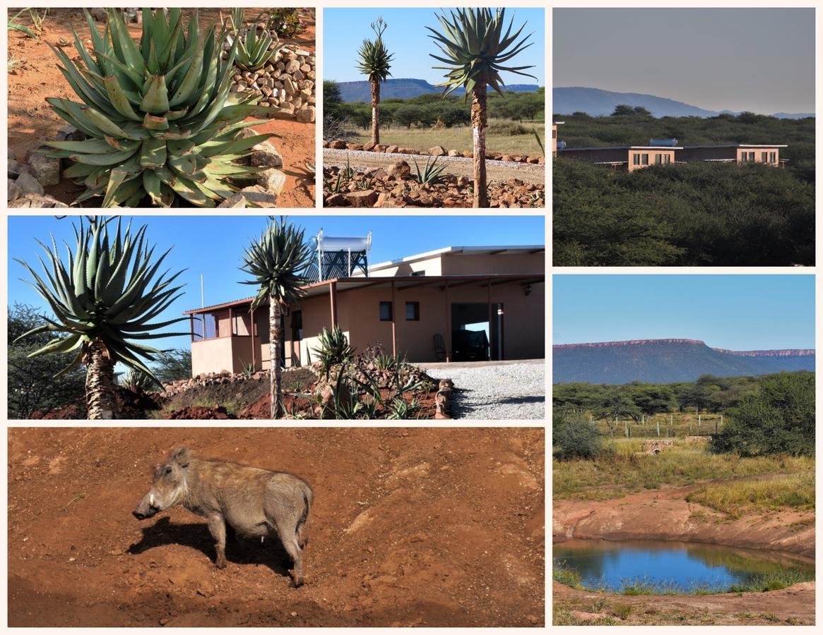 Cheetah View Lodge Otjiwarongo Ngoại thất bức ảnh